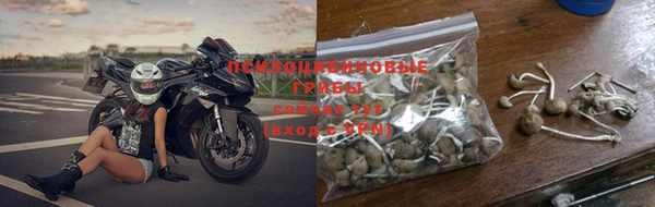 шишки Верхний Тагил
