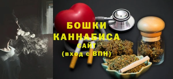 шишки Верхний Тагил