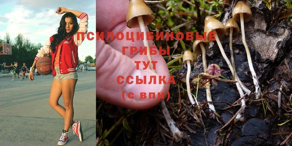 шишки Верхний Тагил