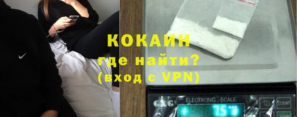 шишки Верхний Тагил