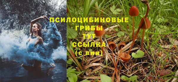 соль ск Верхнеуральск