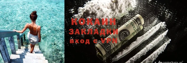 шишки Верхний Тагил