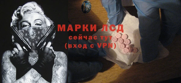 шишки Верхний Тагил