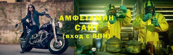 шишки Верхний Тагил