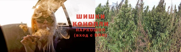 шишки Верхний Тагил
